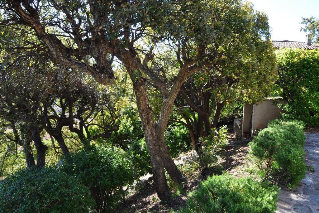 Villa Abeille : Douces Vacances D'Ete Avec Vue Mer Cavalaire-sur-Mer Kültér fotó