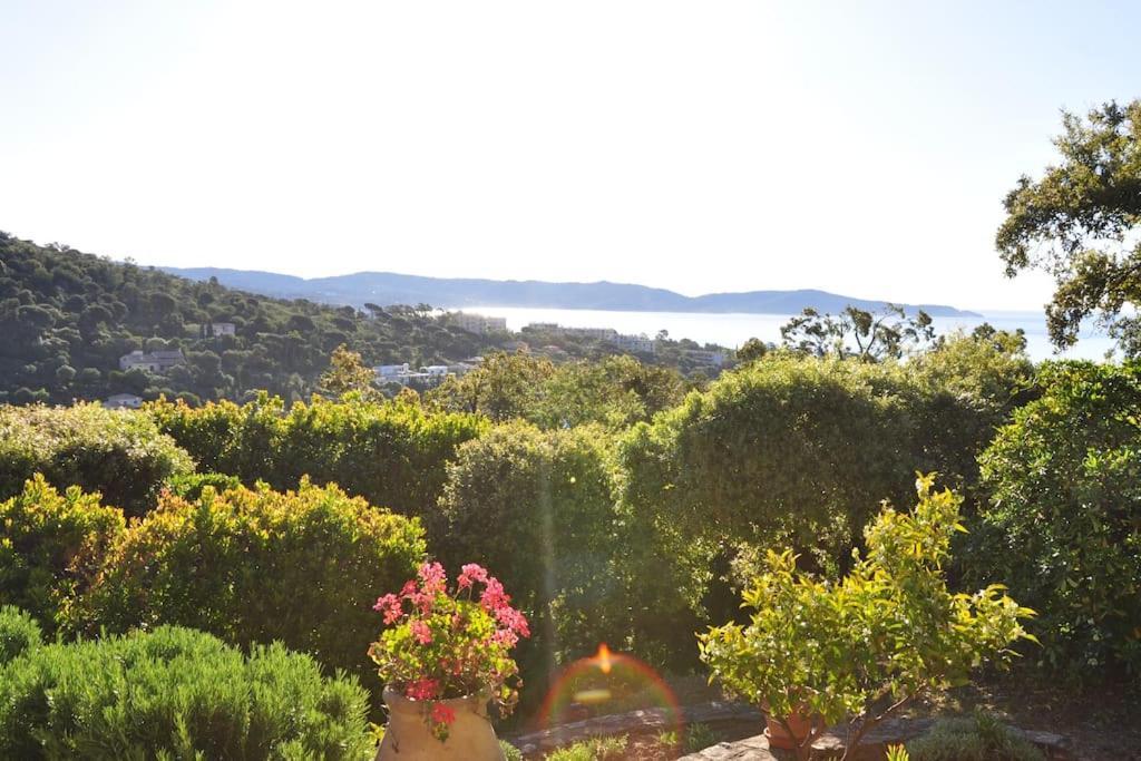 Villa Abeille : Douces Vacances D'Ete Avec Vue Mer Cavalaire-sur-Mer Kültér fotó